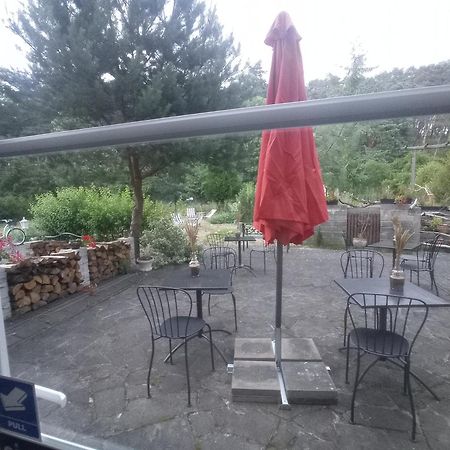 Dworek Bursztynowe Piaski Gdańsk Kültér fotó